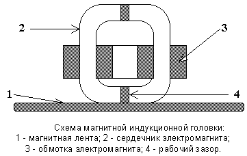 Некоторые сведения о записи (Общие сведения о записи)