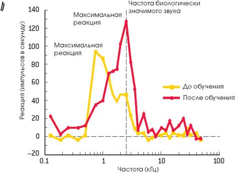 Во власти музыки (Секрет завораживающей власти музыки)